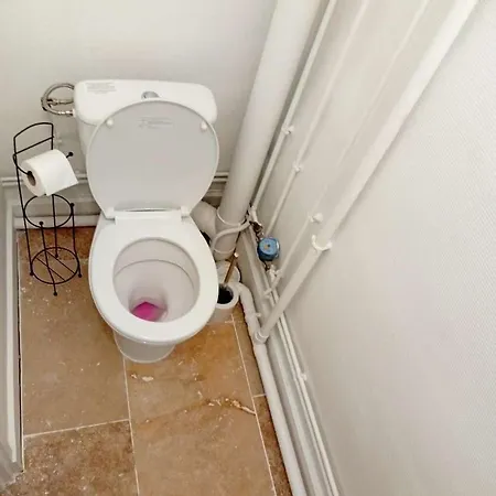 Agate - En Plein Coeur De La * Digione