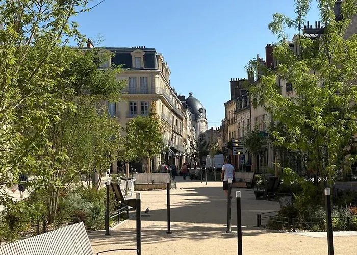 Agate - En Plein Coeur De La * Dijon