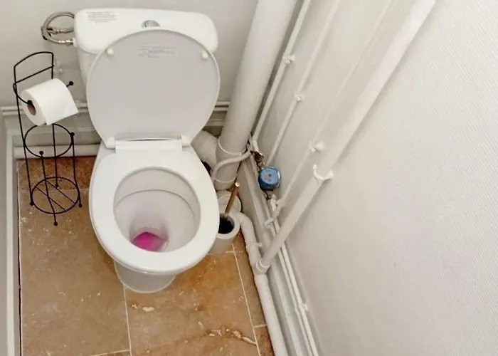 Agate - En Plein Coeur De La * Dijon